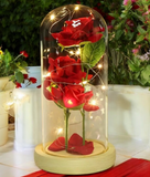 3 Stems LED Rose Dome