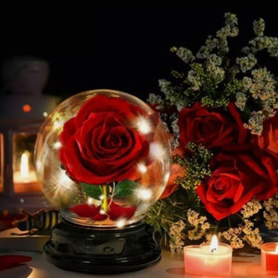 LED Rose Dome includes USB charger