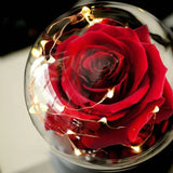 LED Rose Dome includes USB charger