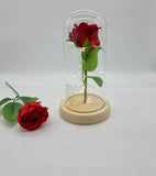 LED Single Stem Rose Red Wooden base