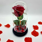 LED Single Stem Rose Red