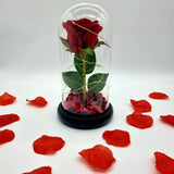 LED Single Stem Rose Red